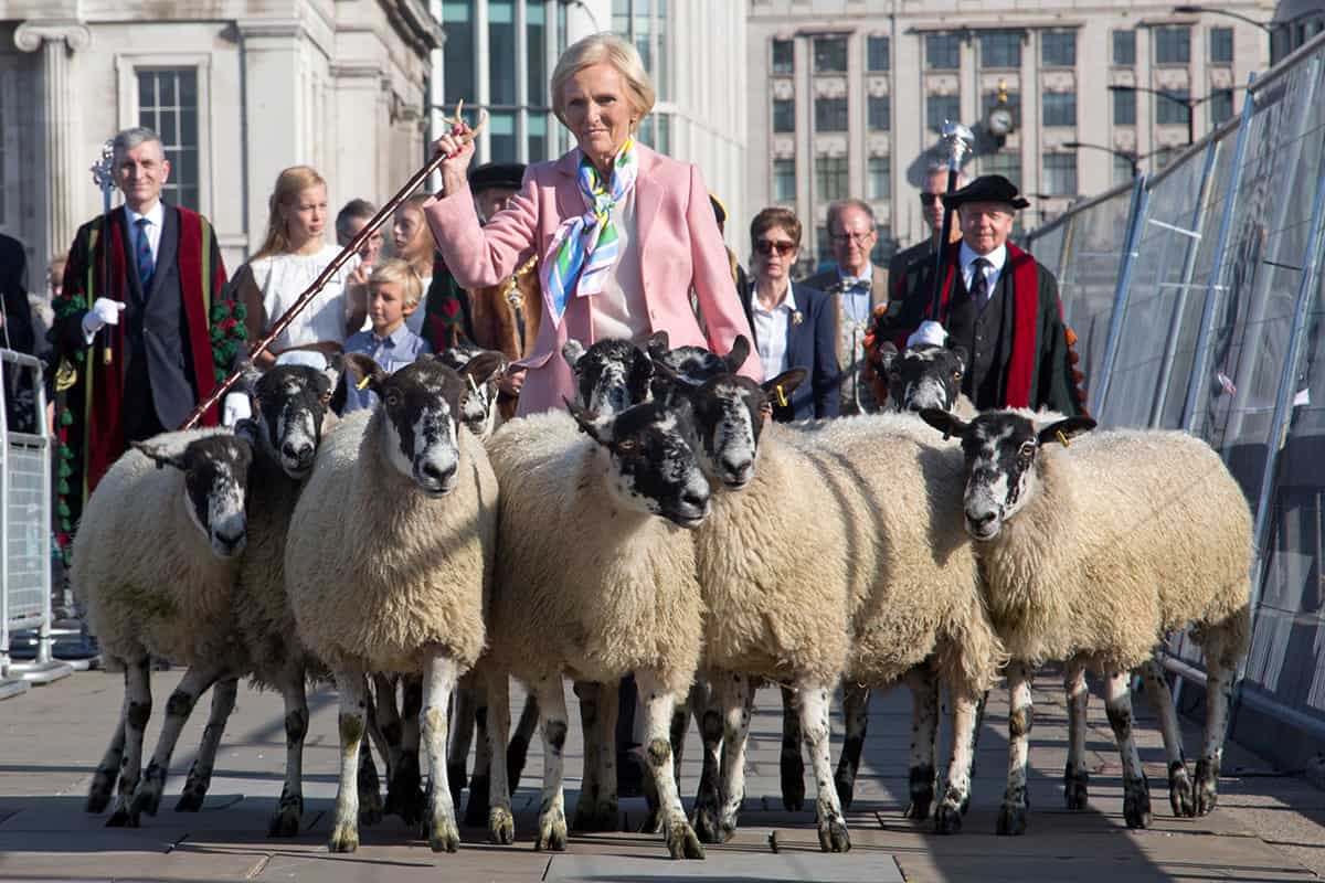 Mary-berry-Sheep-drive-andrew-sillett