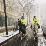 CityPoliceHorses-snow (1)