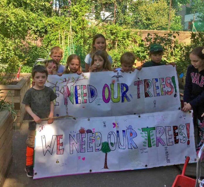 Golden Lane residents were fighting to save seven mature trees lining the estate
