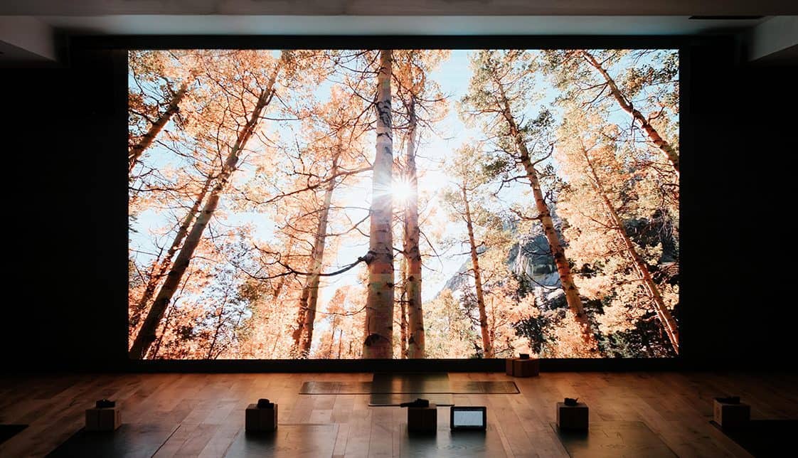 The large screen lights up the room with a peaceful daylight glow.