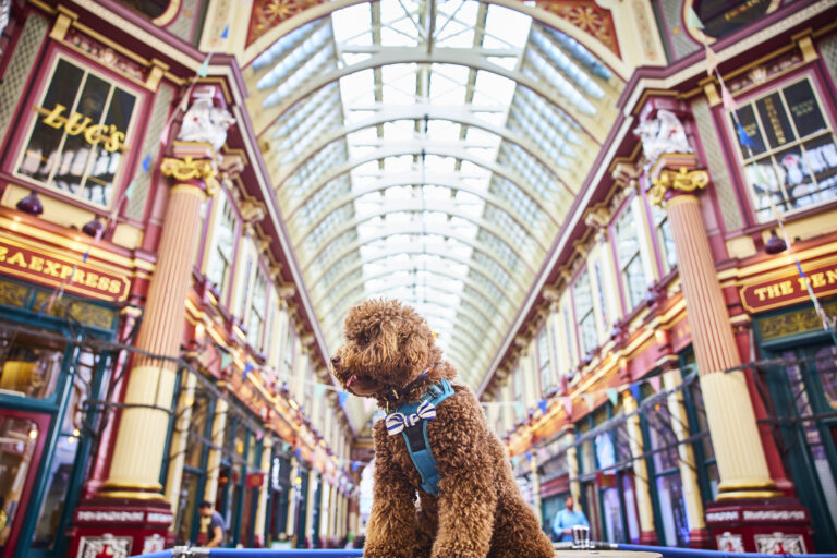 Dogstagram: Leadenhall Market puts pooches in the frame