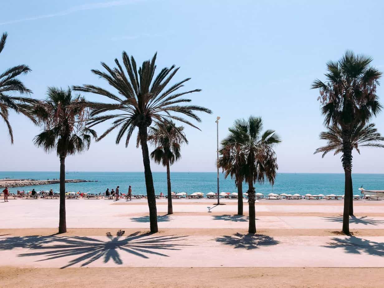 Spotlight On Barcelona: What you need to know