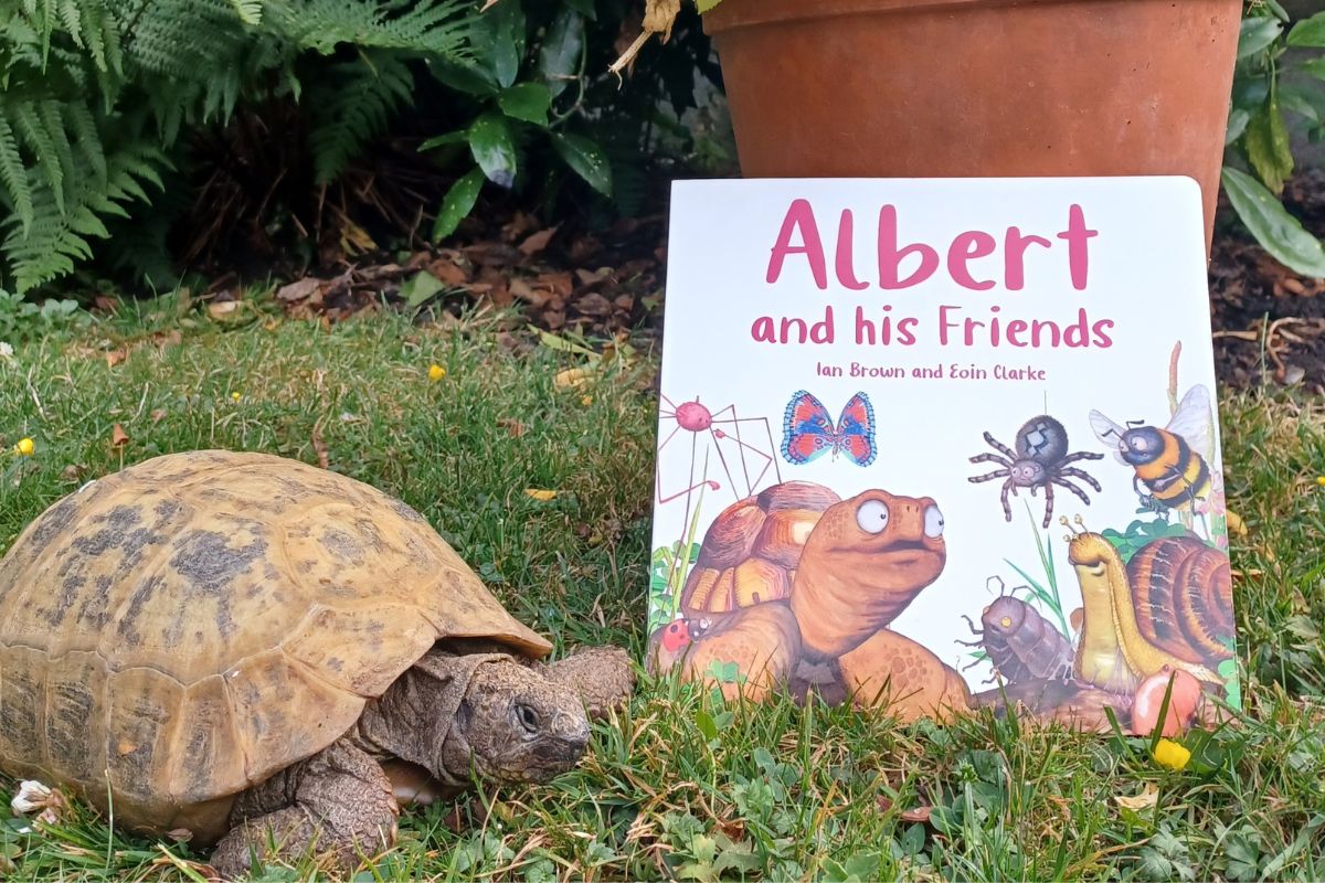 Albert and his friends